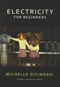 Electricity for Beginners by Michelle Dicinoski